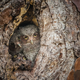 Image for article titled The most inspiring nature photography of the year
